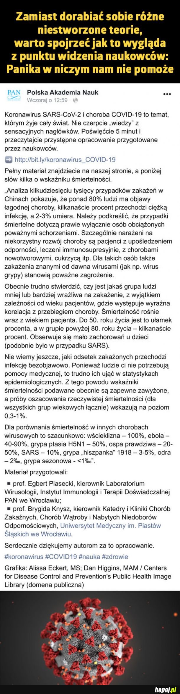 Punk widzenia naukowców o koronowirusie