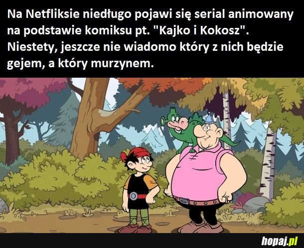Kajko i Kokosz