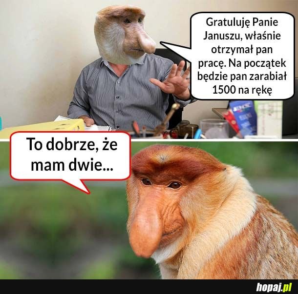 Zarobki Janusza