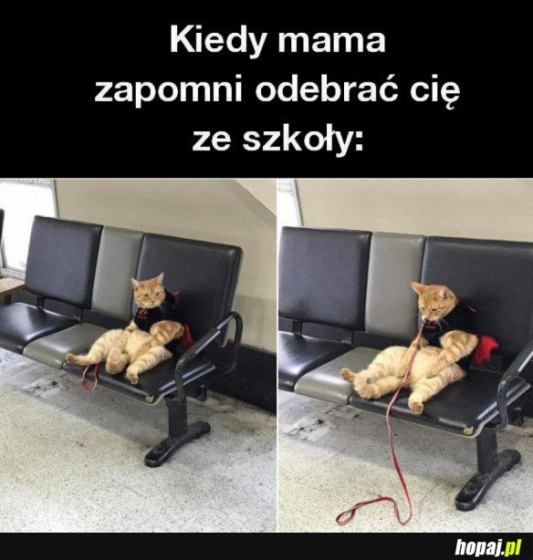 KIEDY MAMA ZAPOMNI ODEBRAĆ CIĘ ZE SZKOŁY