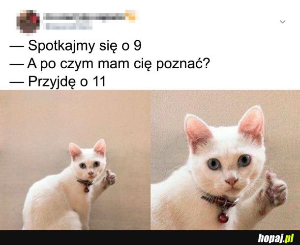  I wszystko jasne