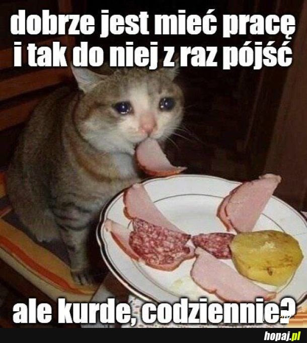 Praca