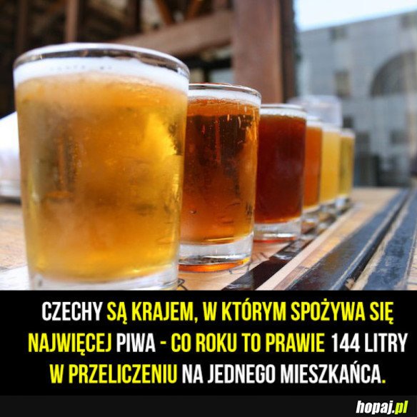 Czechy