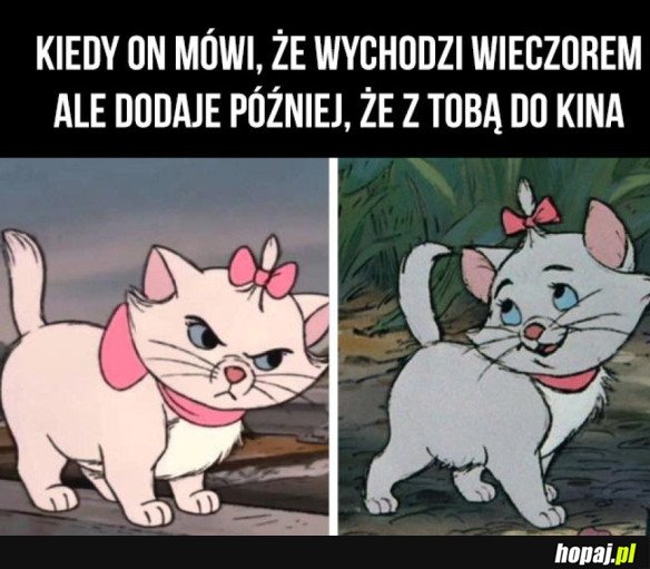 LASKI TAKIE SĄ