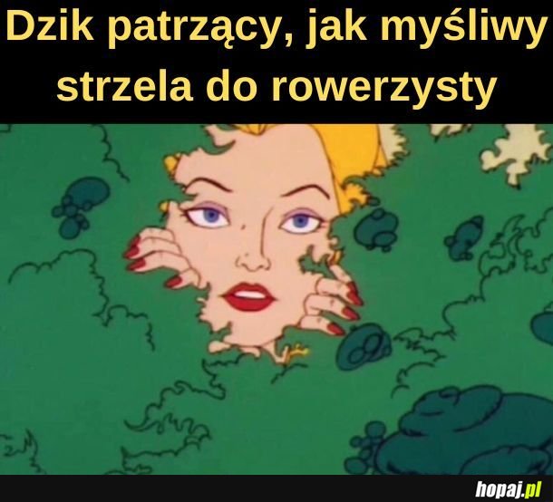 Dzik.