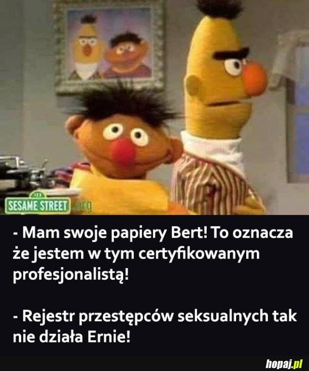 Bert i Ernie