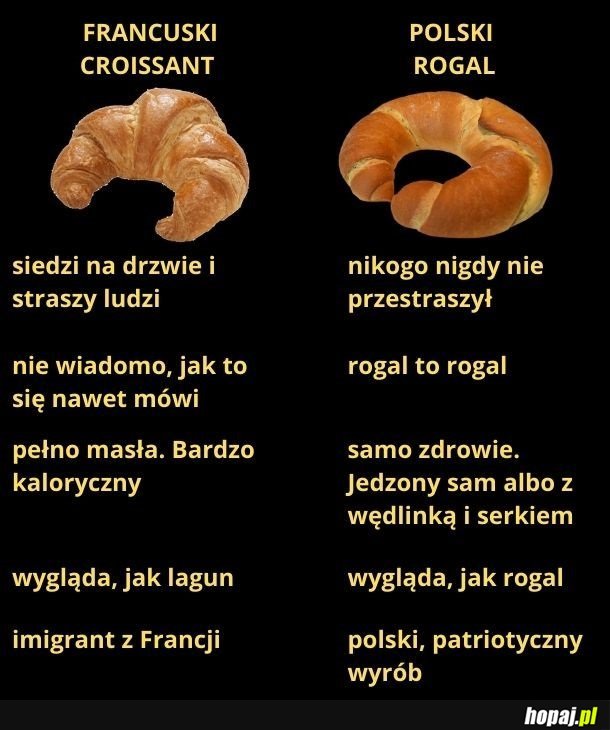 Lagun vs. rogal