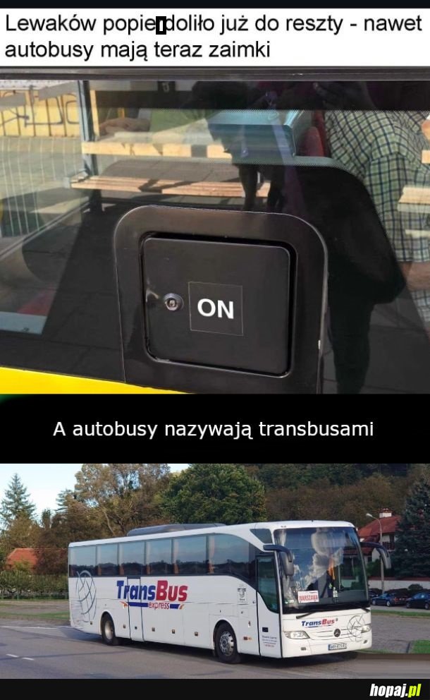 TransBus