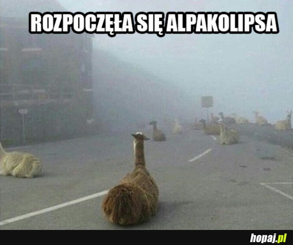 KONIEC ŚWIATA