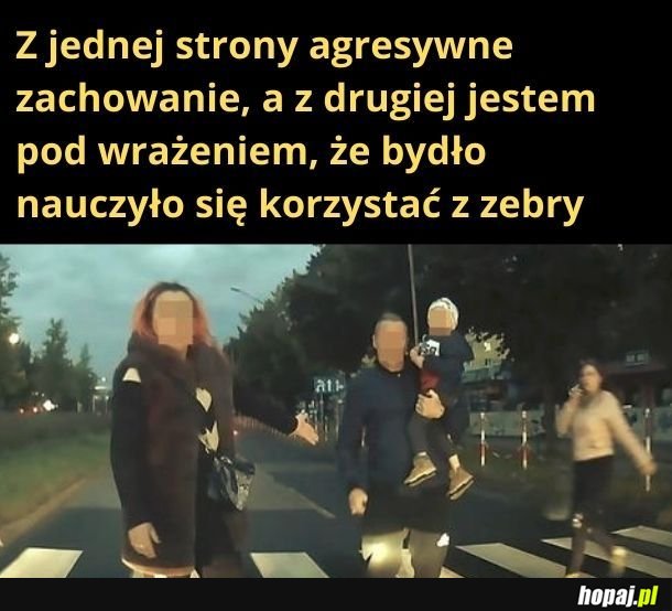 Bydło