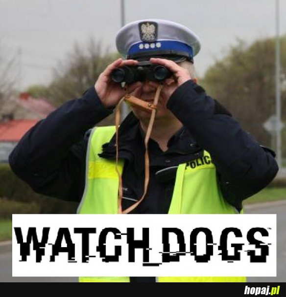 Watch dogs