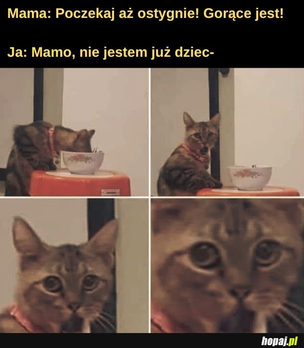 Gorące. 