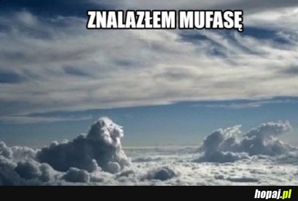 ZOBACZ KOGO ZNALAZŁEM