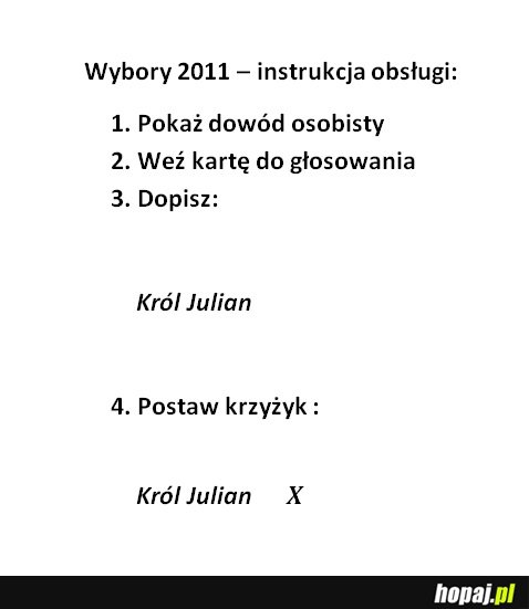 Wybory 2011