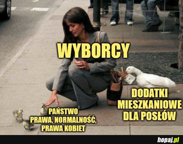 Tak to wygląda.