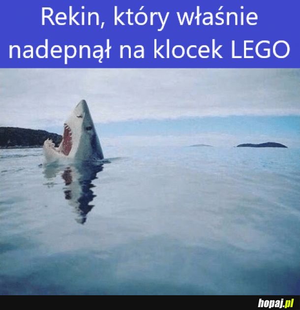 Ludzka reakcja