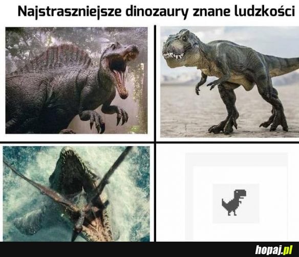 Strach się bać