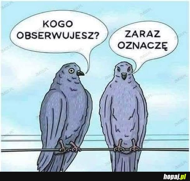 Obserowanie i oznaczanie
