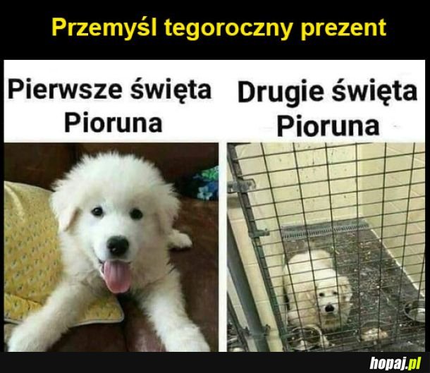 Prezent