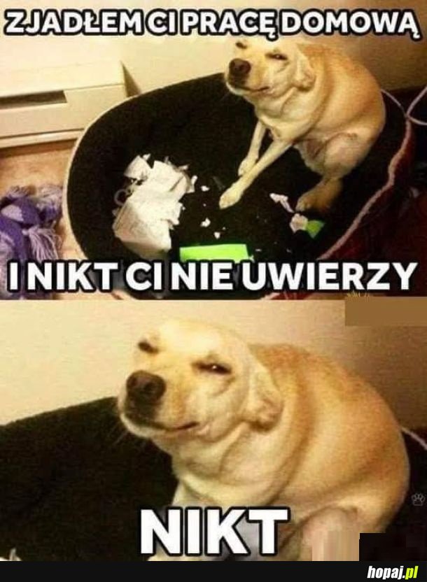 A to maly skurczybyk ...