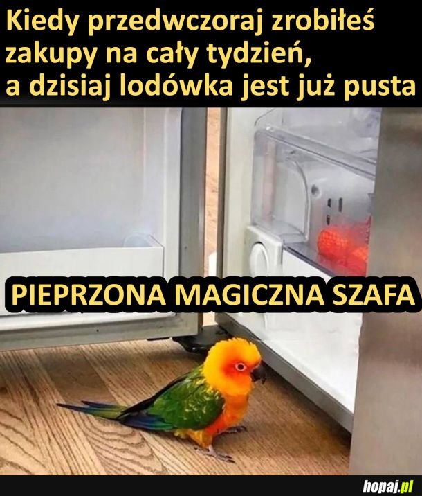 Magiczna szafa