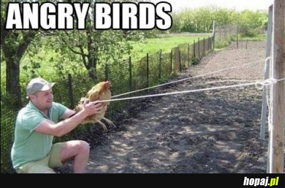 Angry Birds