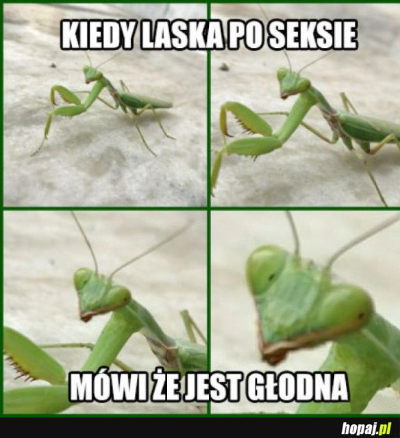 TO UCZUCIE