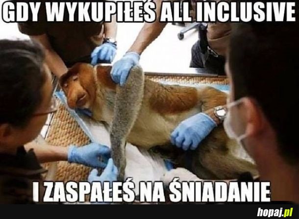 Czas umierać