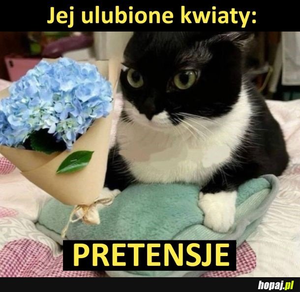 Jej ulubione kwiaty