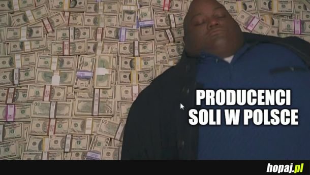 Producenci soli w Polsce