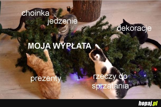 I po wypłacie