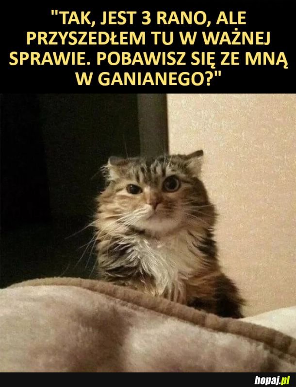 Pobaw się ze mną