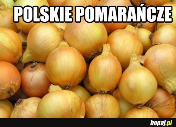 A TY LUBISZ POMARAŃCZE?