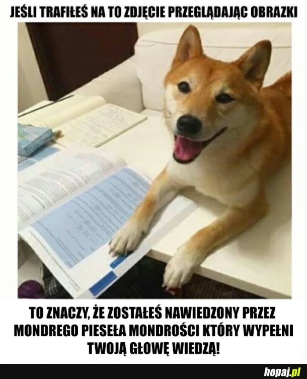 POWODZENIA NA NASTĘPNYM EGZAMINIE!