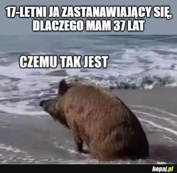 A to się porobiło