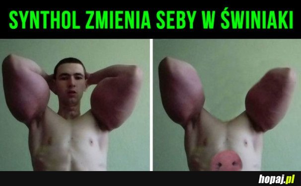 SYNTHOL ZMIENIA