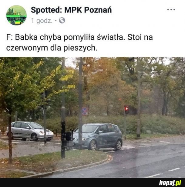 Światła dla (nie)pieszych 