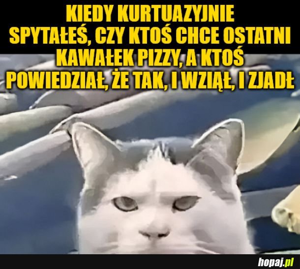 Pizza.