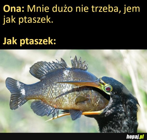 Po co tak oszukiwać?