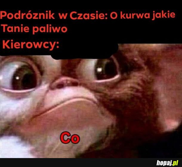  Paliwo