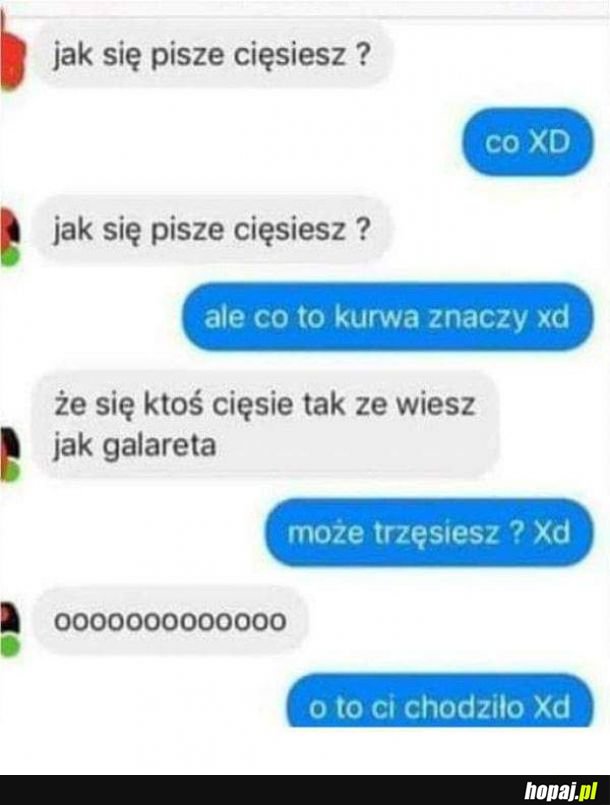 Język polski 