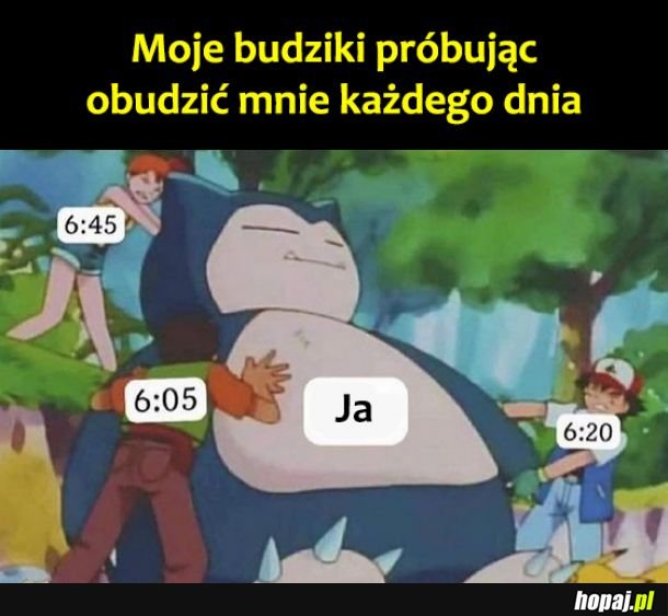 Moje budziki