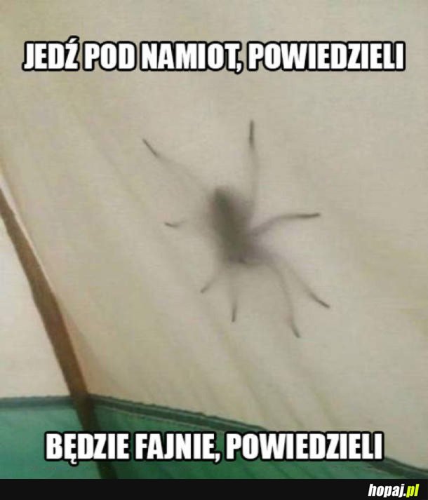 ZMORA WYCIECZEK POD NAMIOT