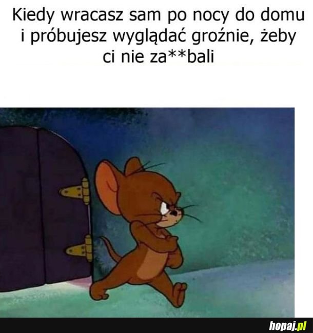 Powrót do domu