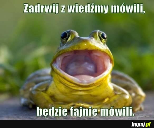 NIE WARTO BYŁO