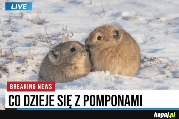 To już się mniej martwię