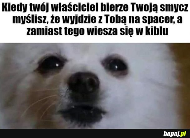 W toalecie jak już