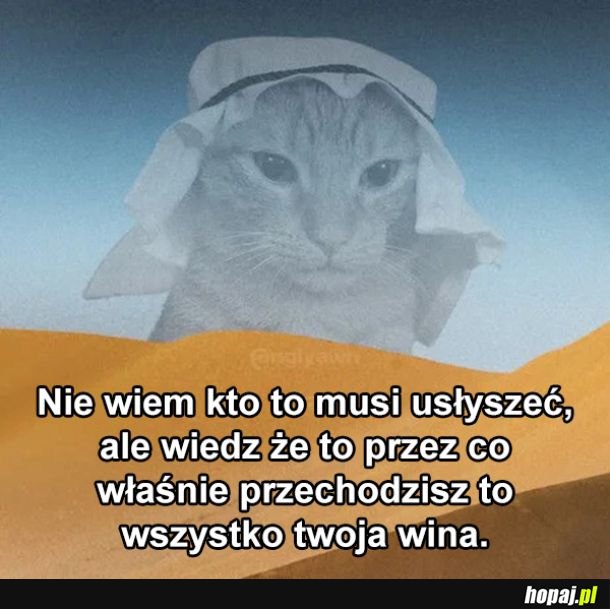 Dobrego dnia