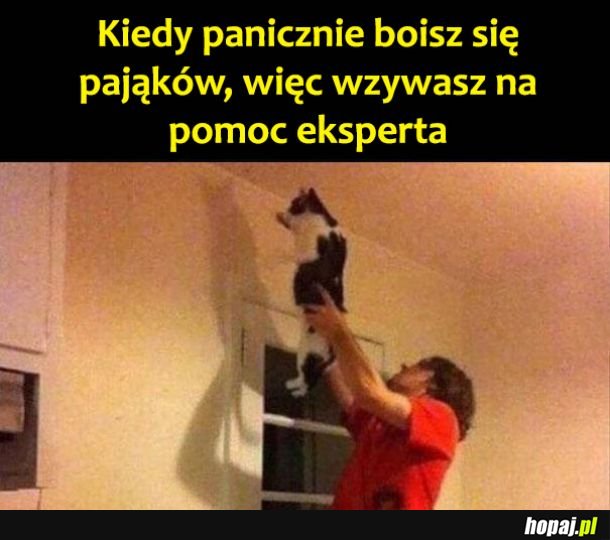 Ekspercie pomóż