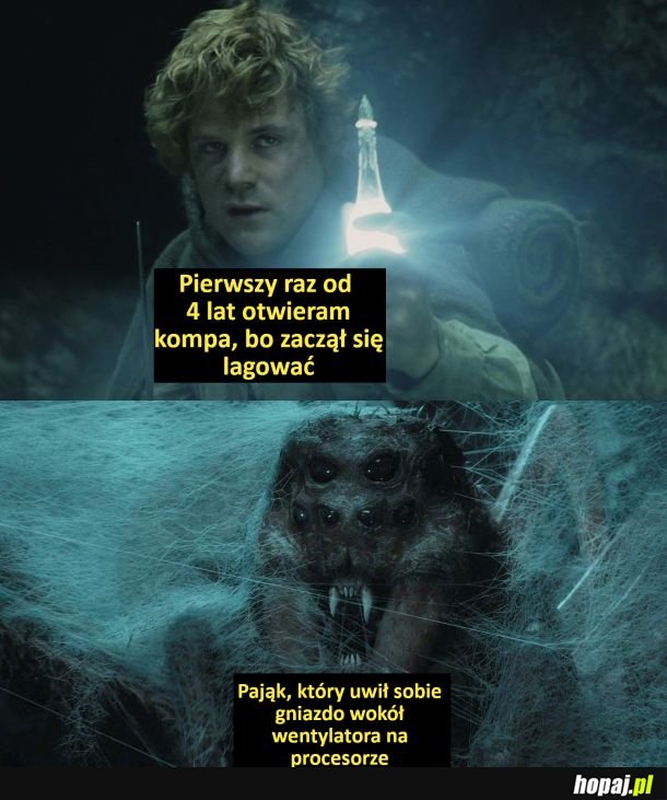 Pająk